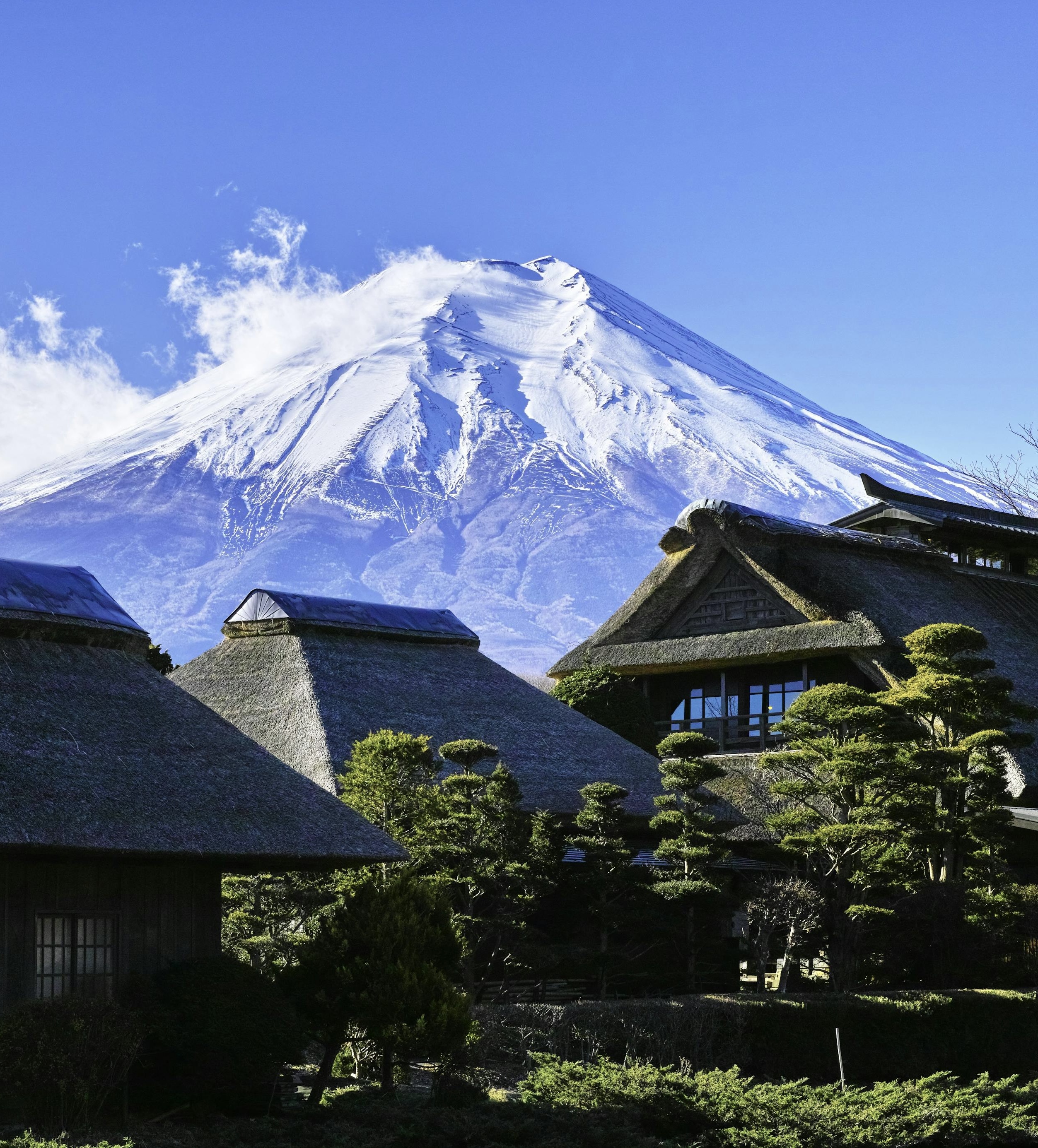 Fuji – Glicini & Monte sacro