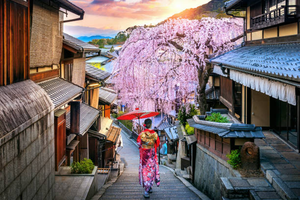 Kodai Kansai