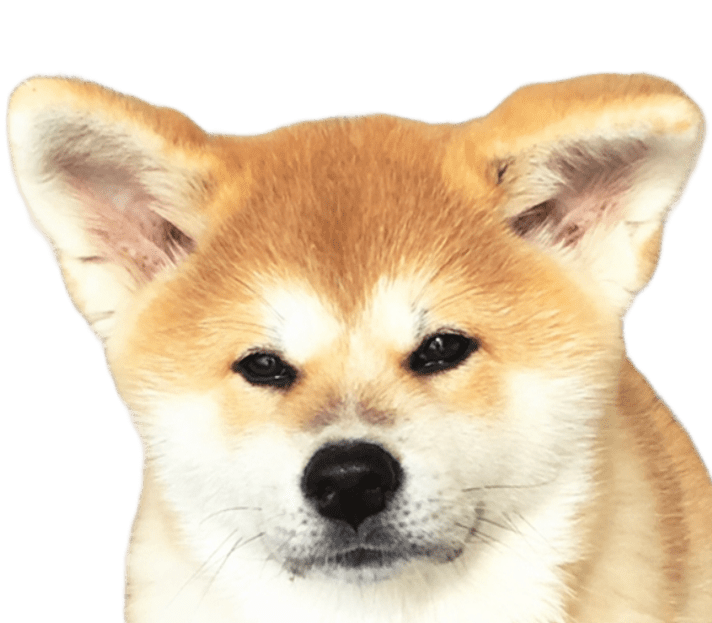 Yuki