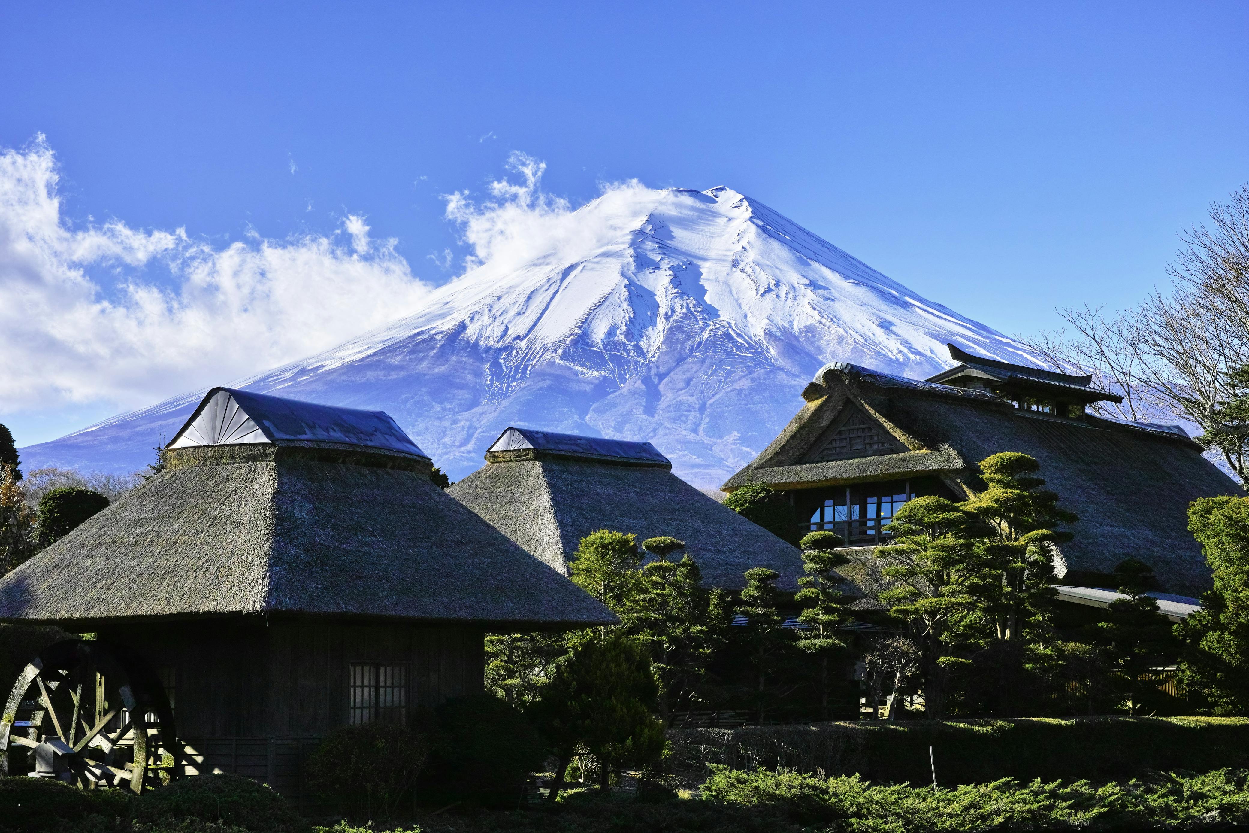 Viaggio di gruppo Fuji: tra glicini e Monte Fuji