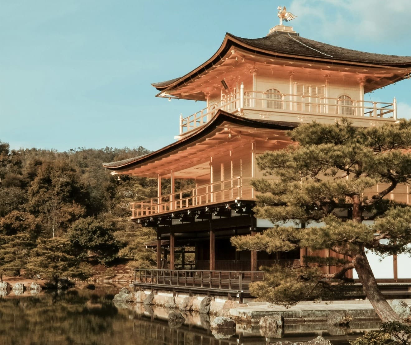 Natsu – Viaggio di gruppo